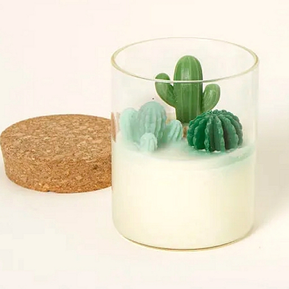 💥BUY 5 GET 3 FREE Terrarium Candle CACTUS, Originally $27.00